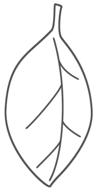 Leaf - Coloring Pages